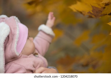 Beautiful Baby In A Pink Bunny Suit Stretches To The Leaves On The Tree. Autumn Day Of A Small Child