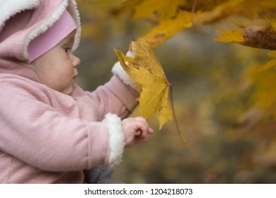 Beautiful Baby In A Pink Bunny Suit Stretches To The Leaves On The Tree. Autumn Day Of A Small Child