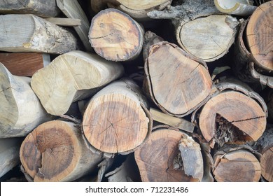 270 Redwood Tree Rings Images, Stock Photos & Vectors | Shutterstock