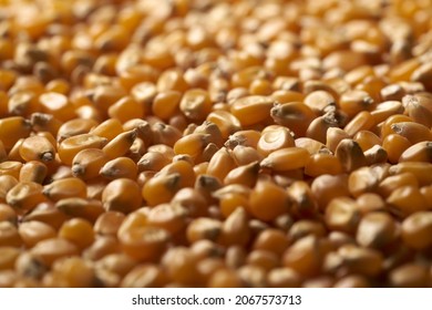 Beautiful background of popcorn for various uses. Popcorn kernels in defocused spiral close-up. Food texture, pattern. High quality photo