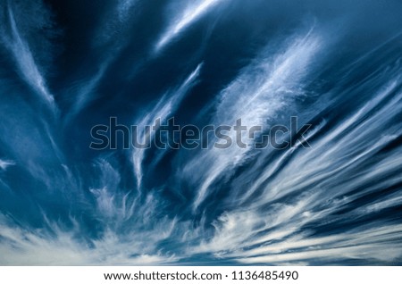 Similar – Image, Stock Photo Riders on the storm Gale