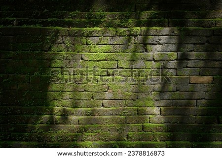 Beautiful Background Textured green natural moss covered the old part ancient Abandoned Temple of Wat Phra That Theru Chan of Buddhist people has been for more than 500 years in Chiang Mai Thailand.