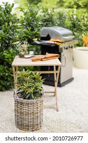 Beautiful Backyard With Barbeque Area And Dining Table