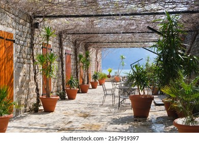 Beautiful Backyard Garden With Flowers And Pots And Relax Summer Terrace