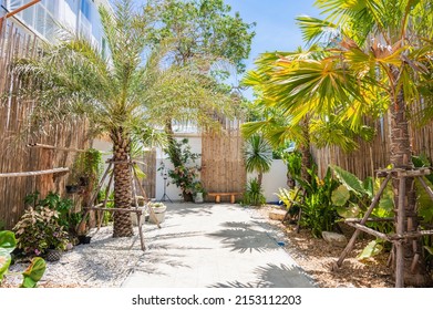 Beautiful Backyard Landscape View Of Colorful Trees And Decorative Shrubs And Rocks.