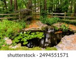 Beautiful Backyard Pond With Koi Fish And Lush Plants, Surrounded By Nature