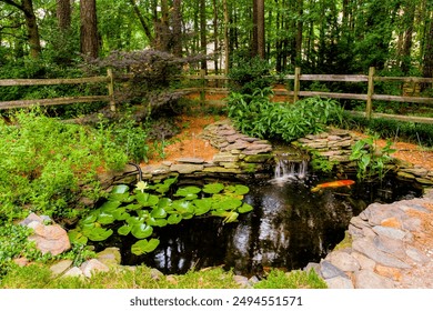 Beautiful Backyard Pond With Koi Fish And Lush Plants, Surrounded By Nature - Powered by Shutterstock