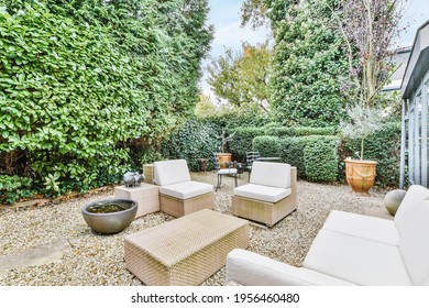 Beautiful Backyard Terrace Full Of Furniture And Decorative Plants