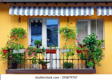 Beautiful Balcony Flowery Garden Close-up And Yellow Residential Building Concrete Wall In The Background