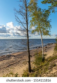 beautiful Baltic Sea coast, autumn afternoon, white clouds over the sea