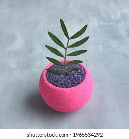 Beautiful Bath Bomb And Plant