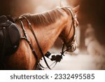 A beautiful bay horse with a dark mane and a saddle on its back stands, held by the rein by the rider