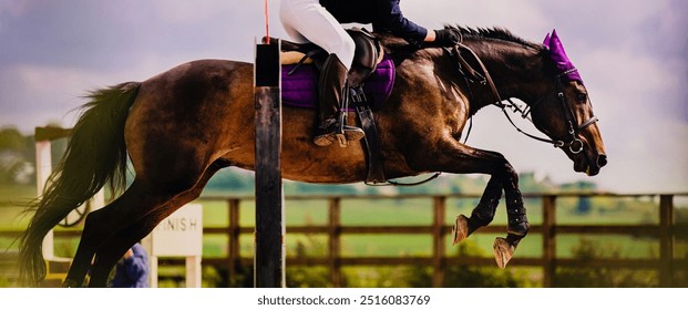 A beautiful bay horse, with a skilled rider in the saddle, jumps over a tall barrier on a sunny summer day, against a backdrop of a blue sky. - Powered by Shutterstock