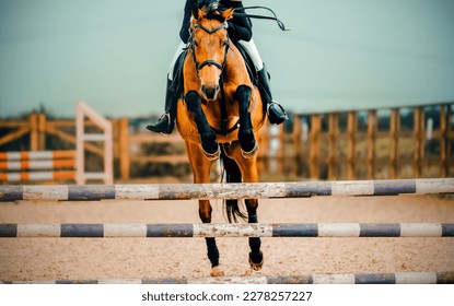 A beautiful bay racehorse with a rider in the saddle jumps over a high wooden barrier on a summer day. Equestrian sports and horse riding. Jumping competition. - Powered by Shutterstock