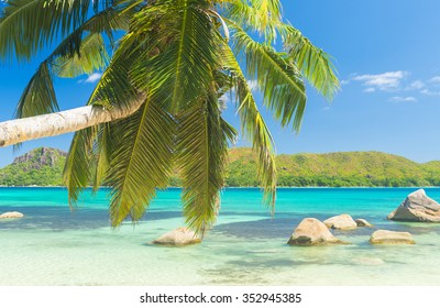 Beautiful beach Anse Boudin seen from under the coconut palm, Praslin island, Seychelles.  - Shutterstock ID 352945385