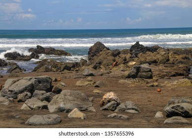 Pantai Jayanti Images Stock Photos Vectors Shutterstock