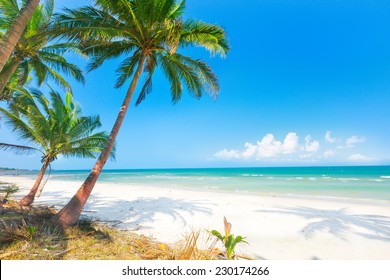 Beautiful Beach Coconut Palm Sea Stock Photo Edit Now