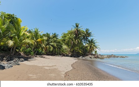 Beautiful Beach At Drake Bay On The Pacific Ocean In Costa Rica