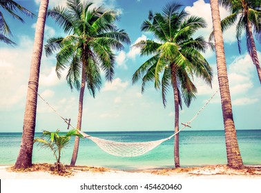Beautiful beach.  Hammock between two palm trees on the beach. Holiday and vacation concept
