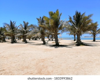 Beautiful Beach Holiday In Yanbu, Saudi Arabia By The Red Sea