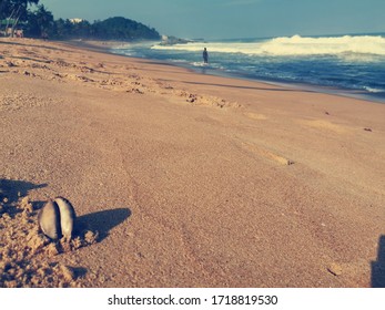 A Beautiful Beach Ivory Coast Summer