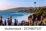 Beautiful Beach at Laguna Beach, California