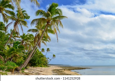 Beautiful Beach In Lifuka Island, Ha'apai Group, Tonga