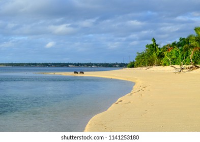 Beautiful Beach In Lifuka Island, Ha'apai Group, Tonga