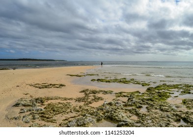 Beautiful Beach In Lifuka Island, Ha'apai Group, Tonga