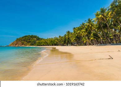 Beautiful beach of Ngapal with palms hanging over the seai, Myanmar