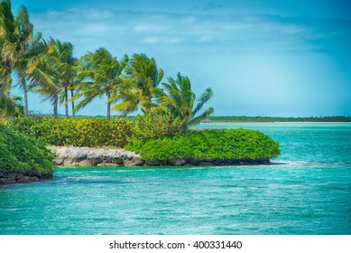 beautiful beach and ocean scenes in florida keys