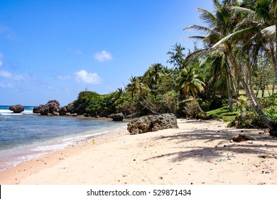 A Beautiful Beach On Barbados In The Caribbean