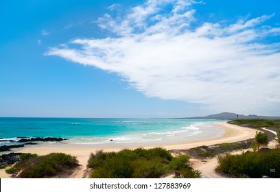 Beautiful Beach On Galapagos Isabela Island, Ecuador