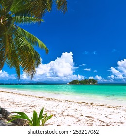 Beautiful beach with palm tree at Seychelles, Praslin, Cote d'Or - Shutterstock ID 253217062