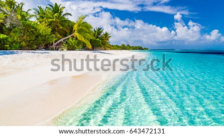 Beautiful beach with palm trees and moody sky. Summer vacation travel holiday background concept. Maldives paradise beach. Luxury travel summer holiday background concept.