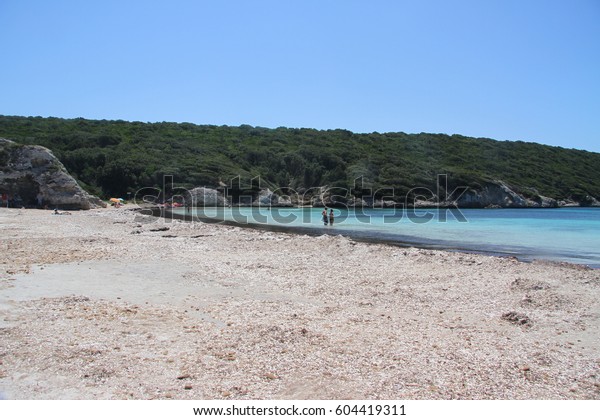 Beautiful Beach Paraguan Plage Corse Stock Photo Edit Now