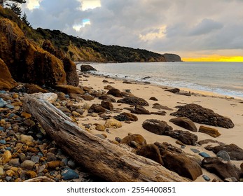 Beautiful beach with rocky shoreline, driftwood and tree-lined mountains - Powered by Shutterstock