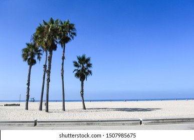 Beautiful Beach at Santa Monica, Los Angeles California. Californian fan palms are characteristic for this area. The picture was taken in September 2019.