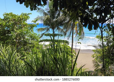 Beautiful Beach Scenery In Corcovado National Par, Summer And Waves, Costa Rica, Central America