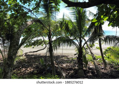 Beautiful Beach Scenery In Corcovado National Par, Summer And Waves, Costa Rica, Central America