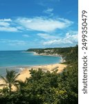 Beautiful beach surrounded by nature