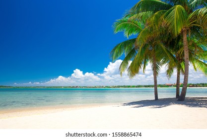 schöner Strand und tropisches Meer