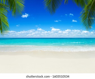schöner Strand und tropisches Meer