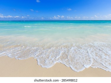 Beautiful Beach And Tropical Sea