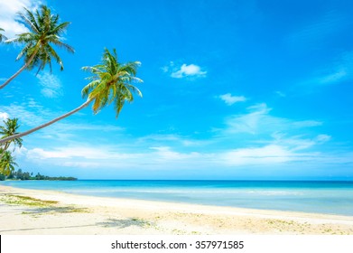 Beautiful Sunny Beach View Nice Tropical Stock Photo 443513926 ...