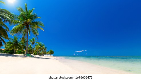 Schöner Strand. Aussicht auf den schönen tropischen Strand mit Palmen. Urlaubs- und Urlaubskonzept.