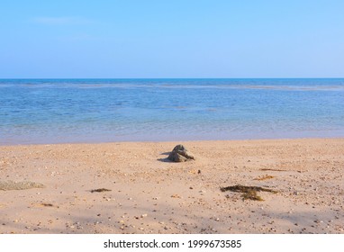 Beautiful beach. View of nice tropical beach with white sand ,blue sea and blue sky. Holiday and vacation concept ,with space for add text ,for use as background - Shutterstock ID 1999673585