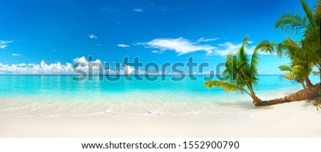 Beautiful beach with white sand, turquoise ocean, blue sky with clouds and palm tree over the water on a Sunny day. Maldives, perfect tropical landscape, ultra wide format.