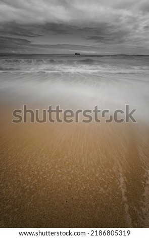 Similar – Image, Stock Photo roaming the beach 2 Nature