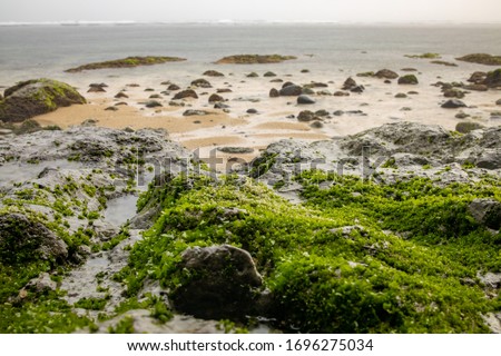 The beautiful beaches of Bali. Waves and sea stones in seaweed. Sandy beaches with unusual stones on the shore.